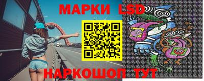 гидра Будённовск