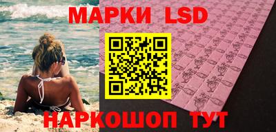 гидра Будённовск