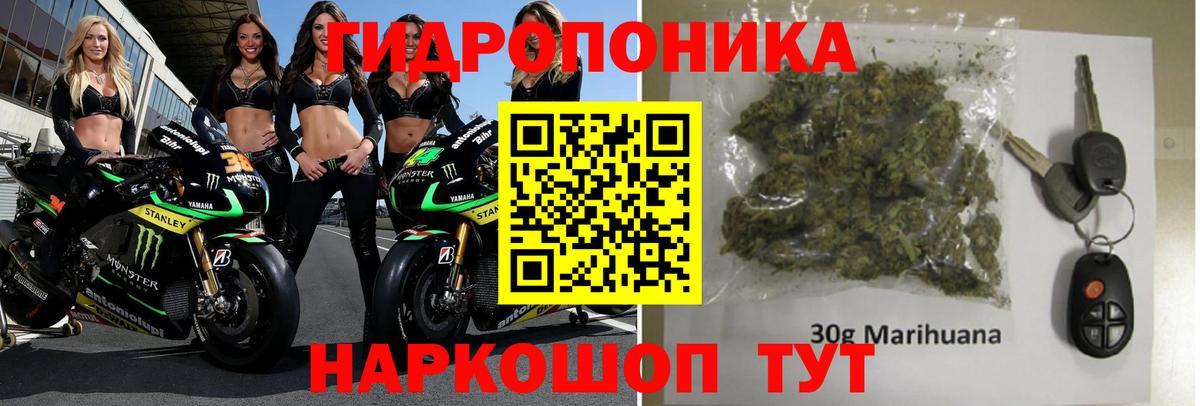 Бошки Шишки сатива  Конопля MAZAR  Шишки марихуана LSD WEED  Вход с VPN  МАРИХУАНА MAZAR  Кулебаки 